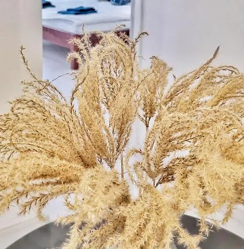 Apartmán Kaczyniec 10 *